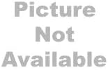 3M High Productivity Floor Pad 7300, 16"