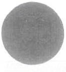 Legrand Wiremold Ratchet-Pro Duplex Cover Plate for Carpet, Black, 1 Pack
