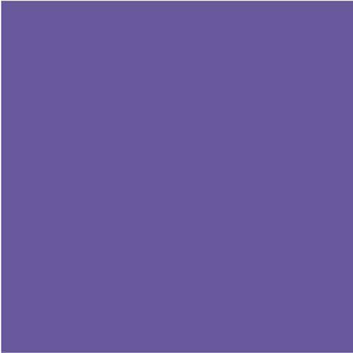 Elmer's Disappearing Purple School Glue Sticks, Washable, 22 Grams, 3 Count - Poster, Vision Board, Back to School Supplies, #1 Teacher Brand (Pack of 2)