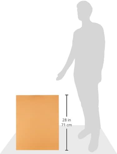 Pacon Poster Boards (PAC76347)