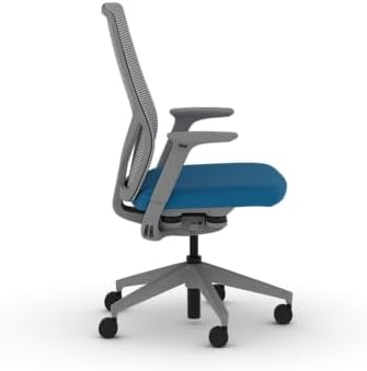 HON Flexion Ergonomic Office Chair, Lumbar Support, Office Desk, Peacock
