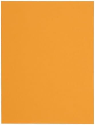 Quality Park 10 x 13 Catalog Envelopes with Self Seal Closure, 28 lb Brown Kraft, Great Option for Mailing, Storage and Organizing, 100 per Box (44762)