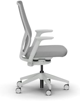 HON Flexion Ergonomic Office Chair, Lumbar Support, Office Desk, Darkness