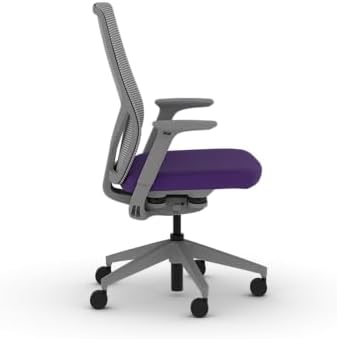 HON Flexion Ergonomic Office Chair, Lumbar Support, Office Desk, Iris