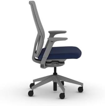 HON Flexion Ergonomic Office Chair, Lumbar Support, Office Desk, Indigo