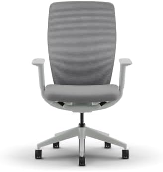 HON Flexion Ergonomic Office Chair, Lumbar Support, Office Desk, Darkness