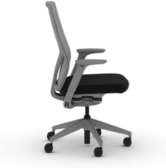 HON Flexion Ergonomic Office Chair, Lumbar Support, Office Desk, Black