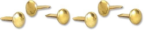 ACCO Brass Paper Fasteners, 1/2", Plated, Box (71709), 100 Fasteners (Pack of 2)