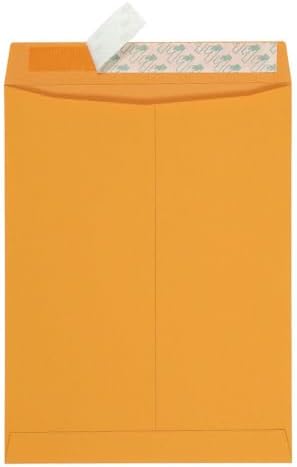 Quality Park 10 x 13 Catalog Envelopes with Self Seal Closure, 28 lb Brown Kraft, Great Option for Mailing, Storage and Organizing, 100 per Box (44762)