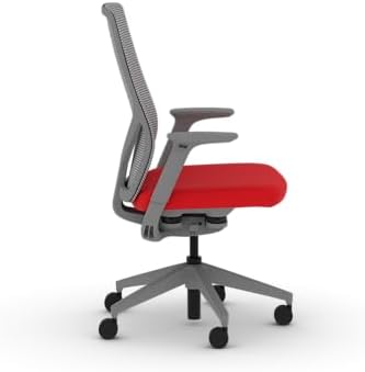 HON Flexion Ergonomic Office Chair, Lumbar Support, Office Desk, Ruby