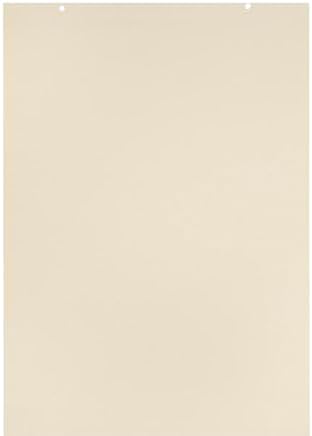 School Smart Manila Tag Ruled Chart Paper, Jumbo Size, 36 x 24 Inches, 36 Sheets