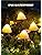 Solar Mushroom Garden Lights for Outside, 20 LED 32.8FT Solar Pathway Lights Outdoor Waterproof for Fence with 8 Lighting Modes for Patio Yard Decorative