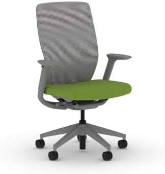 HON Flexion Ergonomic Office Chair, Lumbar Support, Office Desk, Pear
