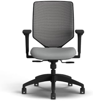HON Solve Ergonomic Office Chair, Lumbar Support, Desk Chair, Frost