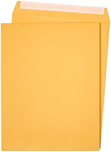 Amazon Basics Catalog Mailing Envelopes, Peel & Seal, 10x13 Inch and 6x9 Inch, Brown Kraft, 100-Pack