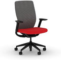 HON Flexion Ergonomic Office Chair, Lumbar Support, Office Desk, Ruby