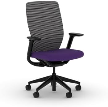 HON Flexion Ergonomic Office Chair, Lumbar Support, Office Desk, Iris