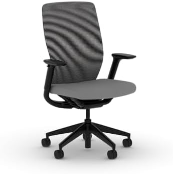 HON Flexion Ergonomic Office Chair, Lumbar Support, Office Desk, Frost