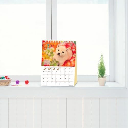 Shiba Inu Desktop Calendar 2027, Cute Dog & Puppy Photos, Japanese Scenery