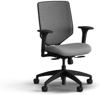 HON Solve Ergonomic Office Chair, Lumbar Support, Desk Chair, Frost