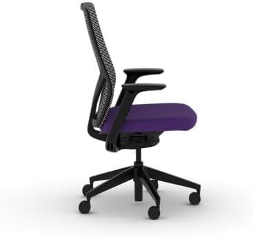 HON Flexion Ergonomic Office Chair, Lumbar Support, Office Desk, Iris