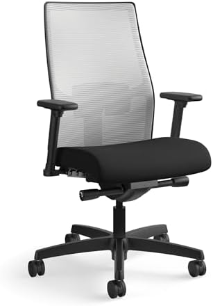 HON Ignition 2.0 Ergonomic Office Chair, Lumbar Support, Desk Chair, Fog
