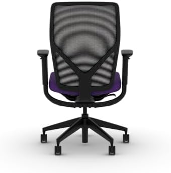 HON Flexion Ergonomic Office Chair, Lumbar Support, Office Desk, Iris