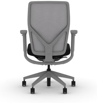 HON Flexion Ergonomic Office Chair, Lumbar Support, Office Desk, Black