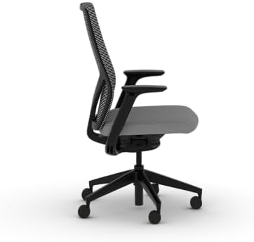 HON Flexion Ergonomic Office Chair, Lumbar Support, Office Desk, Frost