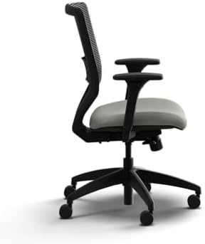 HON Solve Ergonomic Office Chair, Lumbar Support, Desk Chair, Fog