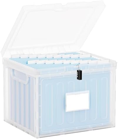 Oterri Lockable Plastic File Box with Lid for Letter-Size | Hanging File Folders Not Included. Clear, Large 1-Pack. Home, Office, Classroom, Dorm, Tax, Under Bed, Filing Cabinet.