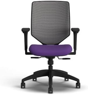 HON Solve Ergonomic Office Chair, Lumbar Support, Desk Chair, Iris