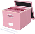 Oterri File Organizer Box,Filing Box with Lid,File Box for Letter/Legal File Folder Storage, Portable Hanging File Box for Office/Decor/Home,1 Pack, Pink(Leather),Box only