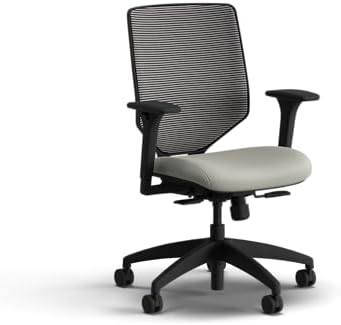 HON Solve Ergonomic Office Chair, Lumbar Support, Desk Chair, Fog