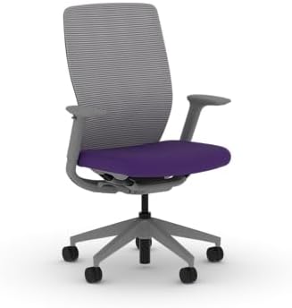 HON Flexion Ergonomic Office Chair, Lumbar Support, Office Desk, Iris
