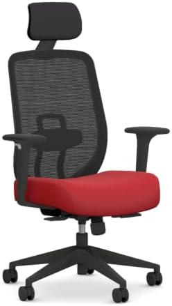 HON Altern Ergonomic Office Chair, Office Desk Computer Chair, Ruby