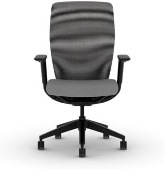 HON Flexion Ergonomic Office Chair, Lumbar Support, Office Desk, Frost