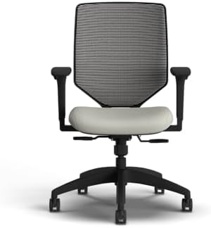 HON Solve Ergonomic Office Chair, Lumbar Support, Desk Chair, Fog