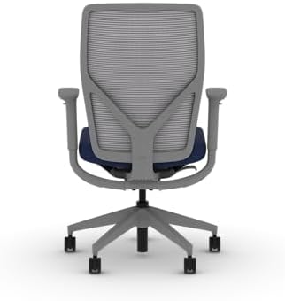 HON Flexion Ergonomic Office Chair, Lumbar Support, Office Desk, Indigo