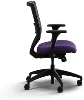 HON Solve Ergonomic Office Chair, Lumbar Support, Desk Chair, Iris