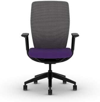 HON Flexion Ergonomic Office Chair, Lumbar Support, Office Desk, Iris