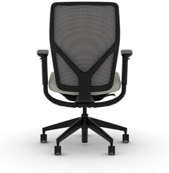 HON Flexion Ergonomic Office Chair, Lumbar Support, Office Desk, Fog