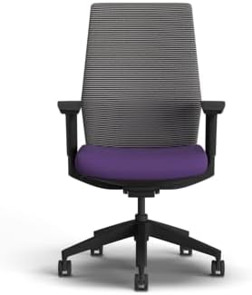 HON Cipher Ergonomic Office Chair, Office Desk Computer Chair, Iris