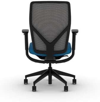HON Flexion Ergonomic Office Chair, Lumbar Support, Office Desk, Peacock