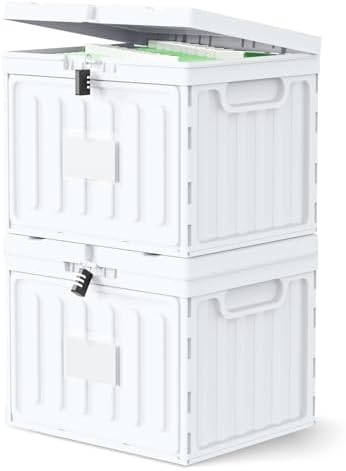 Oterri Lockable Plastic File Box with Lid for Letter-Size | Hanging File Folders Not Included. White, Large 2-Pack. Home, Office, Classroom, Dorm, Tax, Under Bed, Filing Cabinet.
