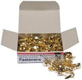 Charles Leonard Brass Plated Fasteners, 100 Pack