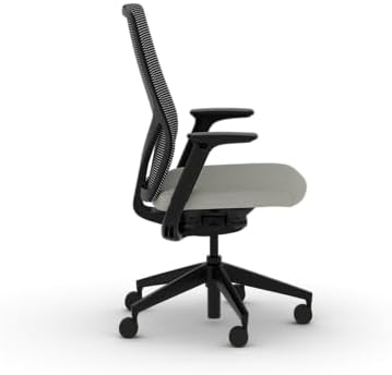 HON Flexion Ergonomic Office Chair, Lumbar Support, Office Desk, Fog