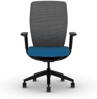 HON Flexion Ergonomic Office Chair, Lumbar Support, Office Desk, Peacock