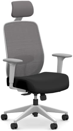 HON Altern Ergonomic Office Chair, Office Desk Computer Chair, Black