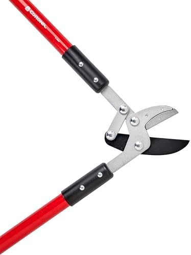 Corona Tools Compound Action Anvil Lopper – 32-Inch Heavy-Duty Branch Cutter for Tree Trimming & Pruning, Garden Loppers for Thick Branches